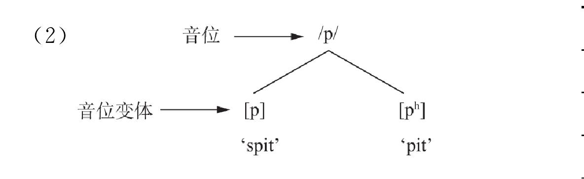 3.1.2 音位和音位变体