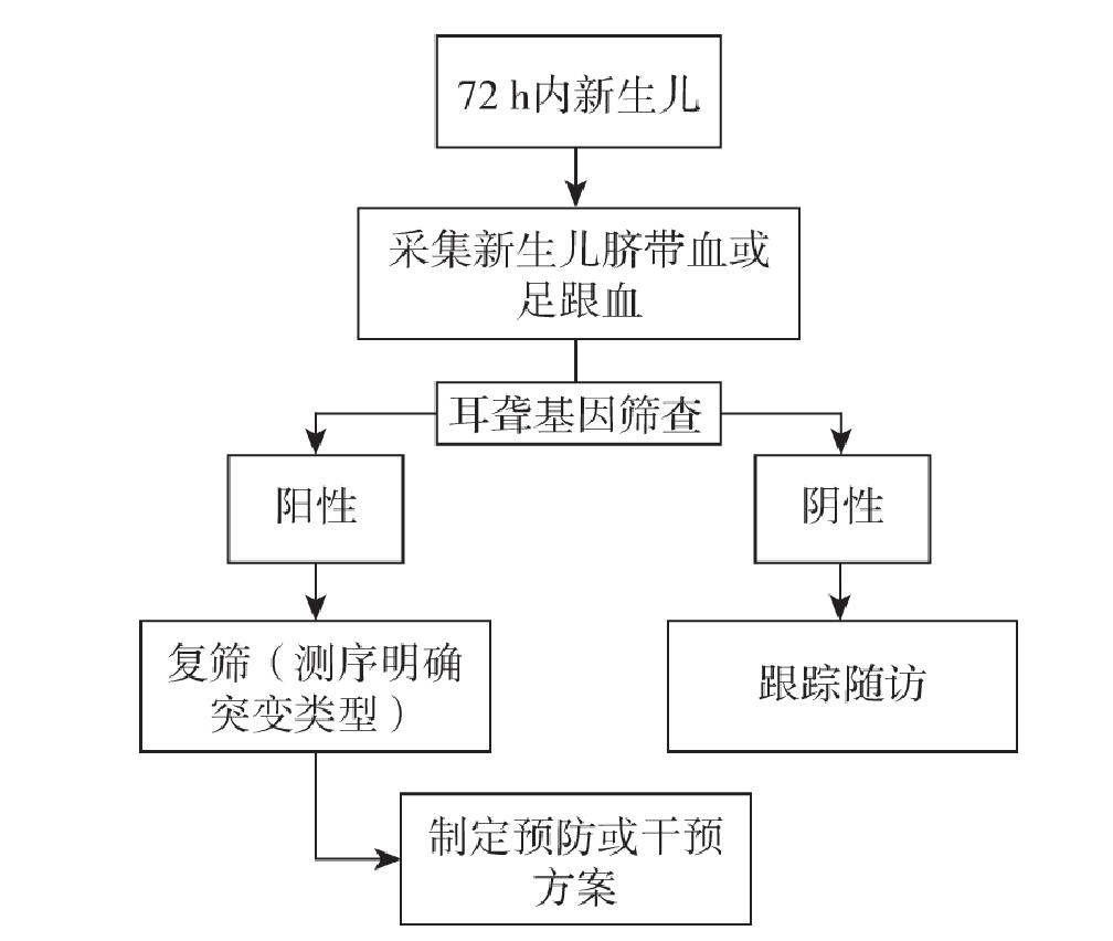 五、耳聾基因篩查