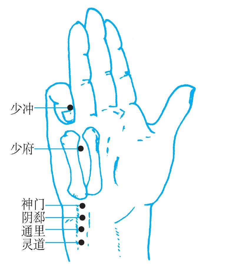 (五)手少陰心經