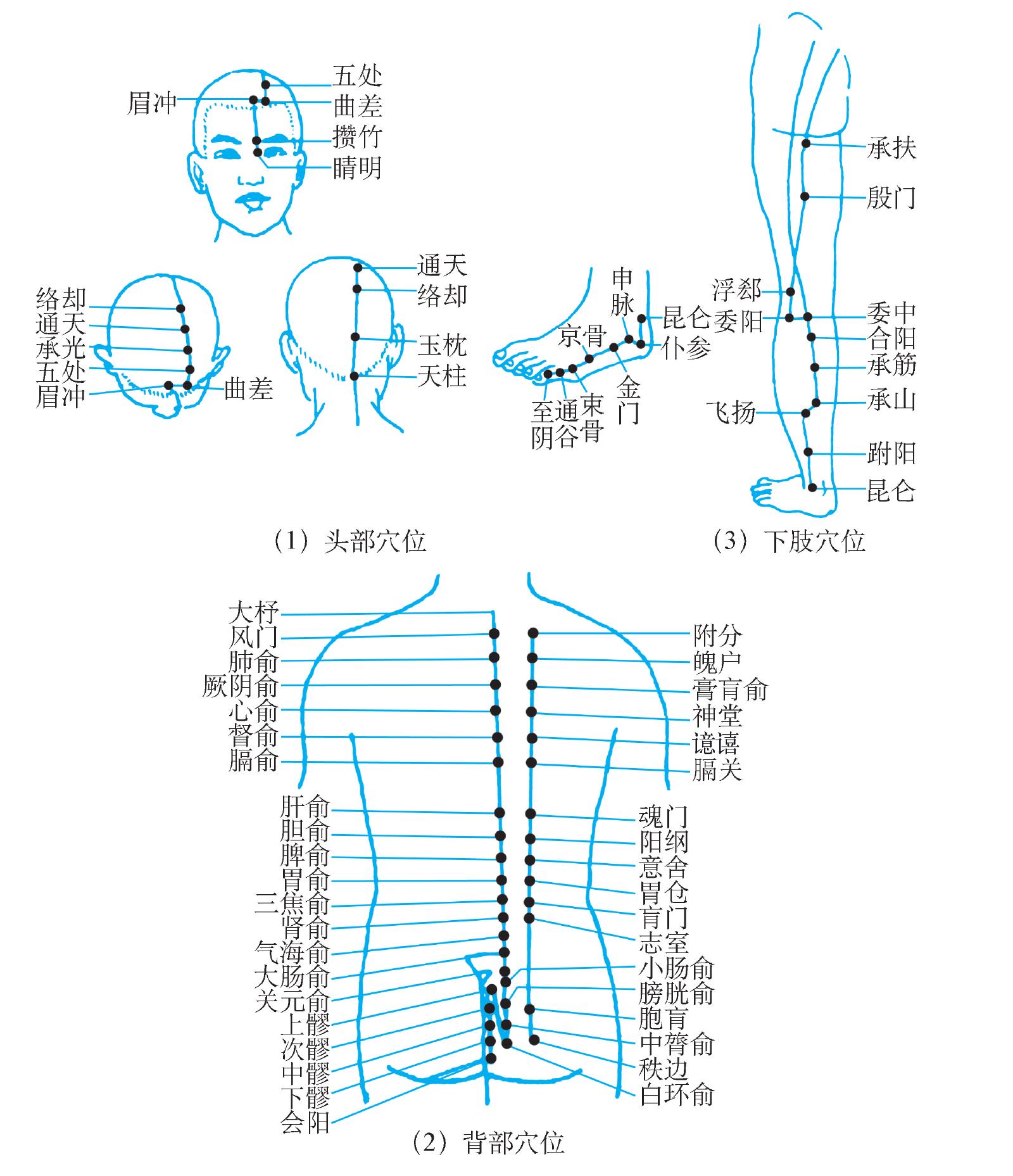 (七)足太阳膀胱经