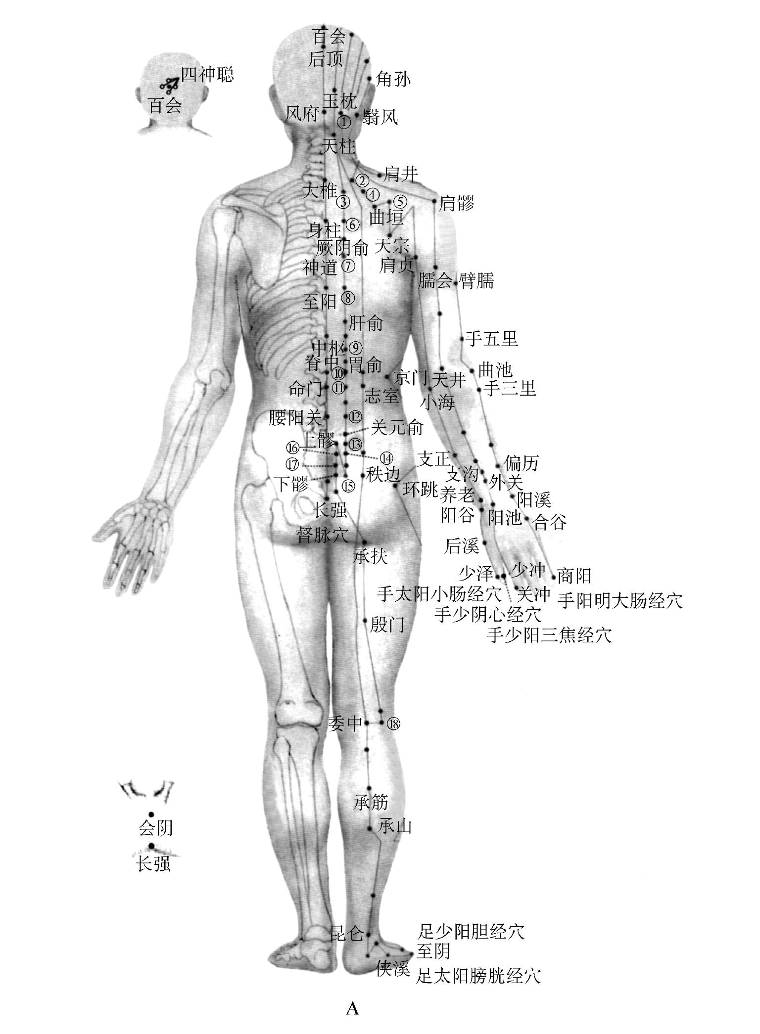 一、針法