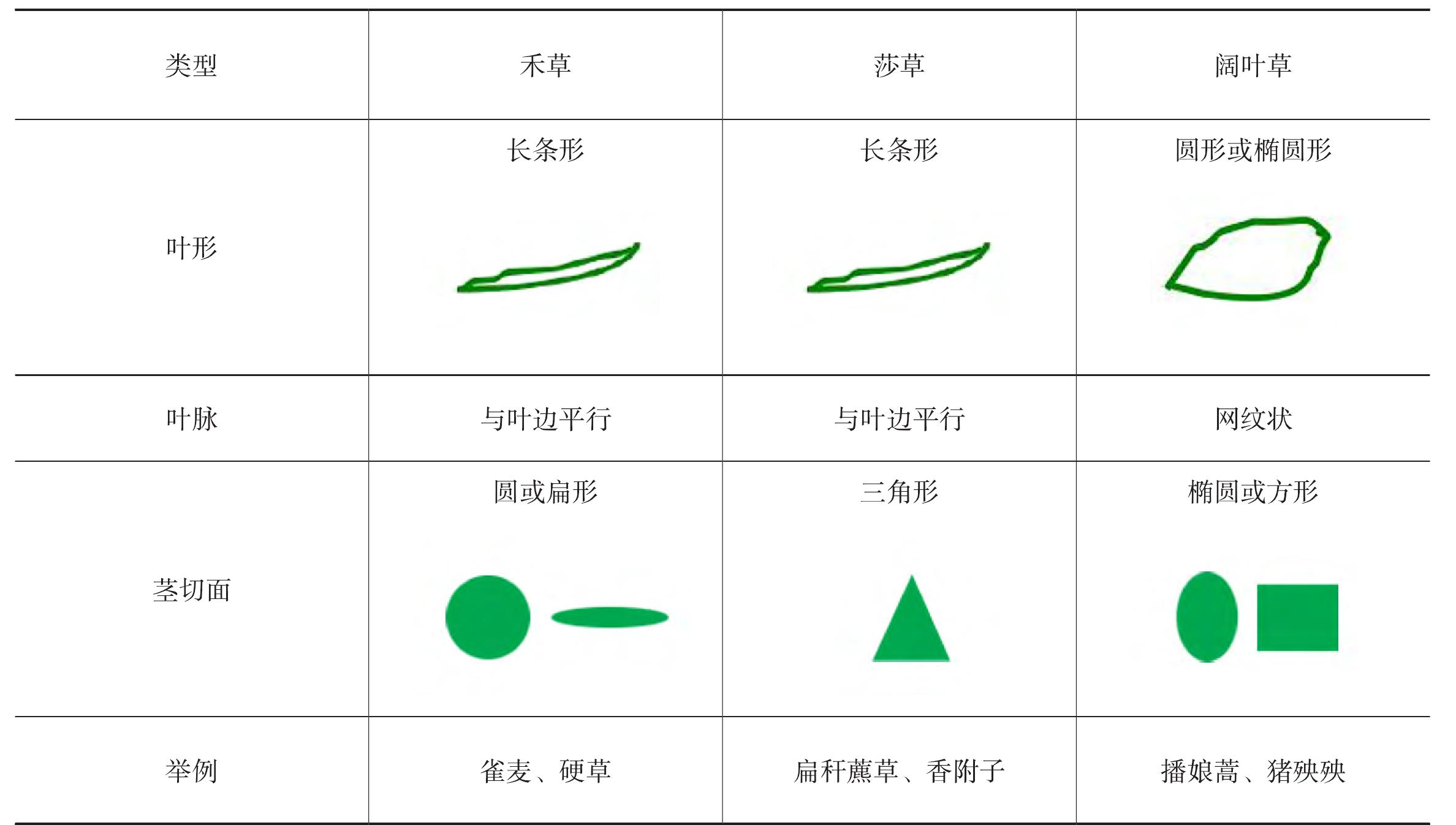 (三)按除草劑防除類別分類