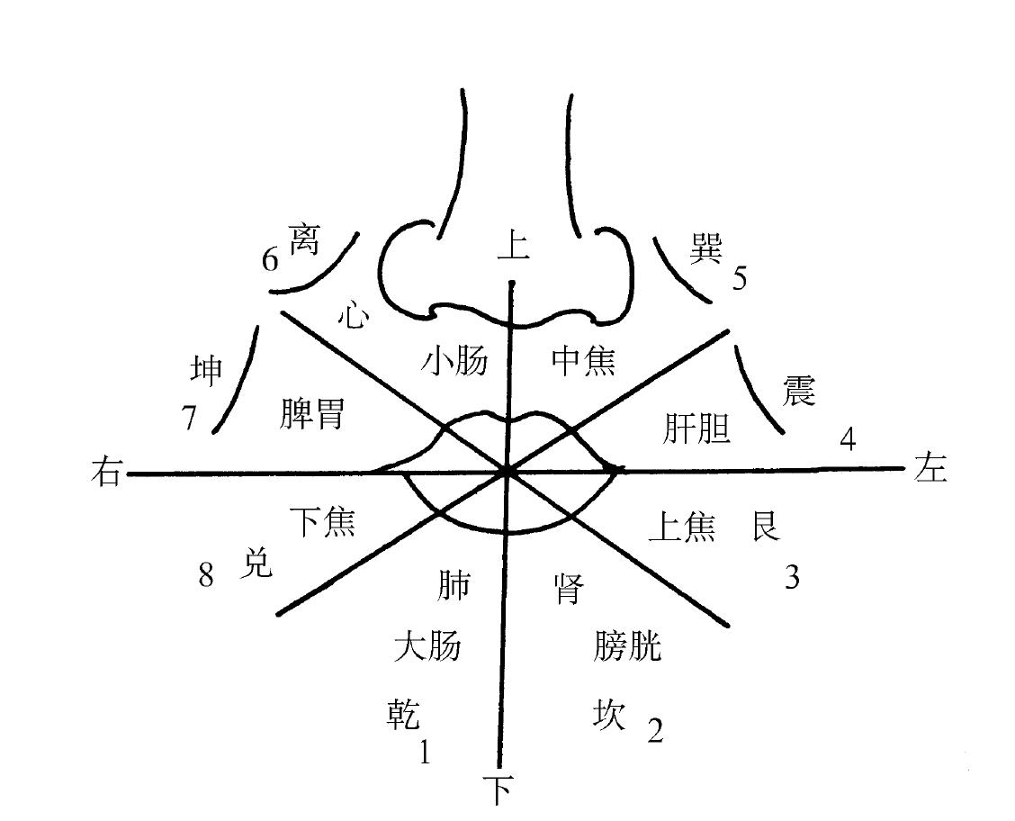 二、唇的臟腑對應(yīng)分布與主病