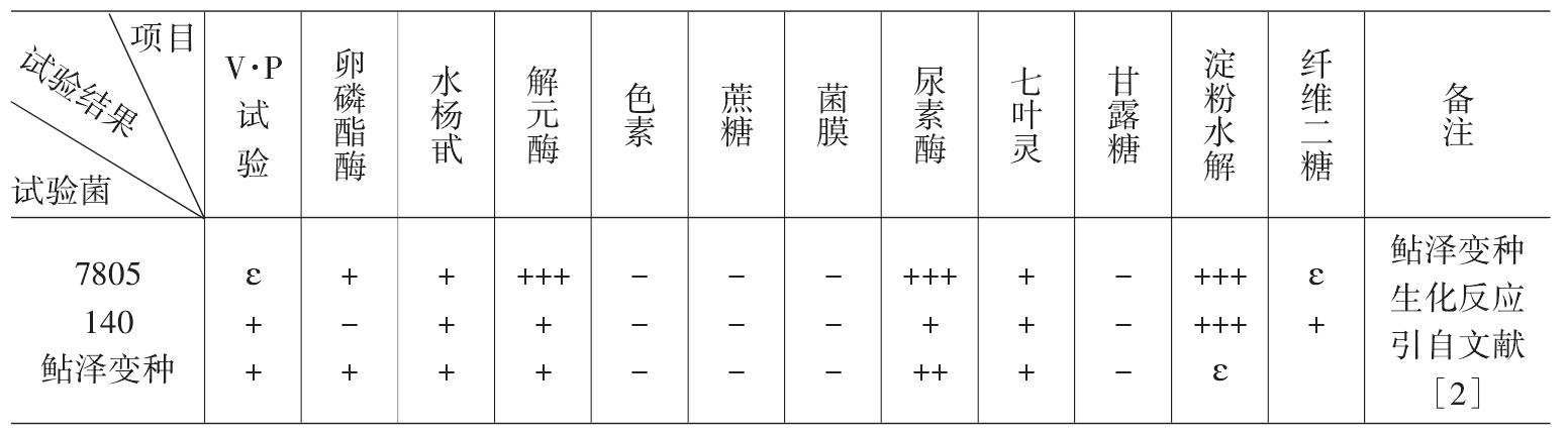 苏云金杆菌无鞭毛菌株7805的研究