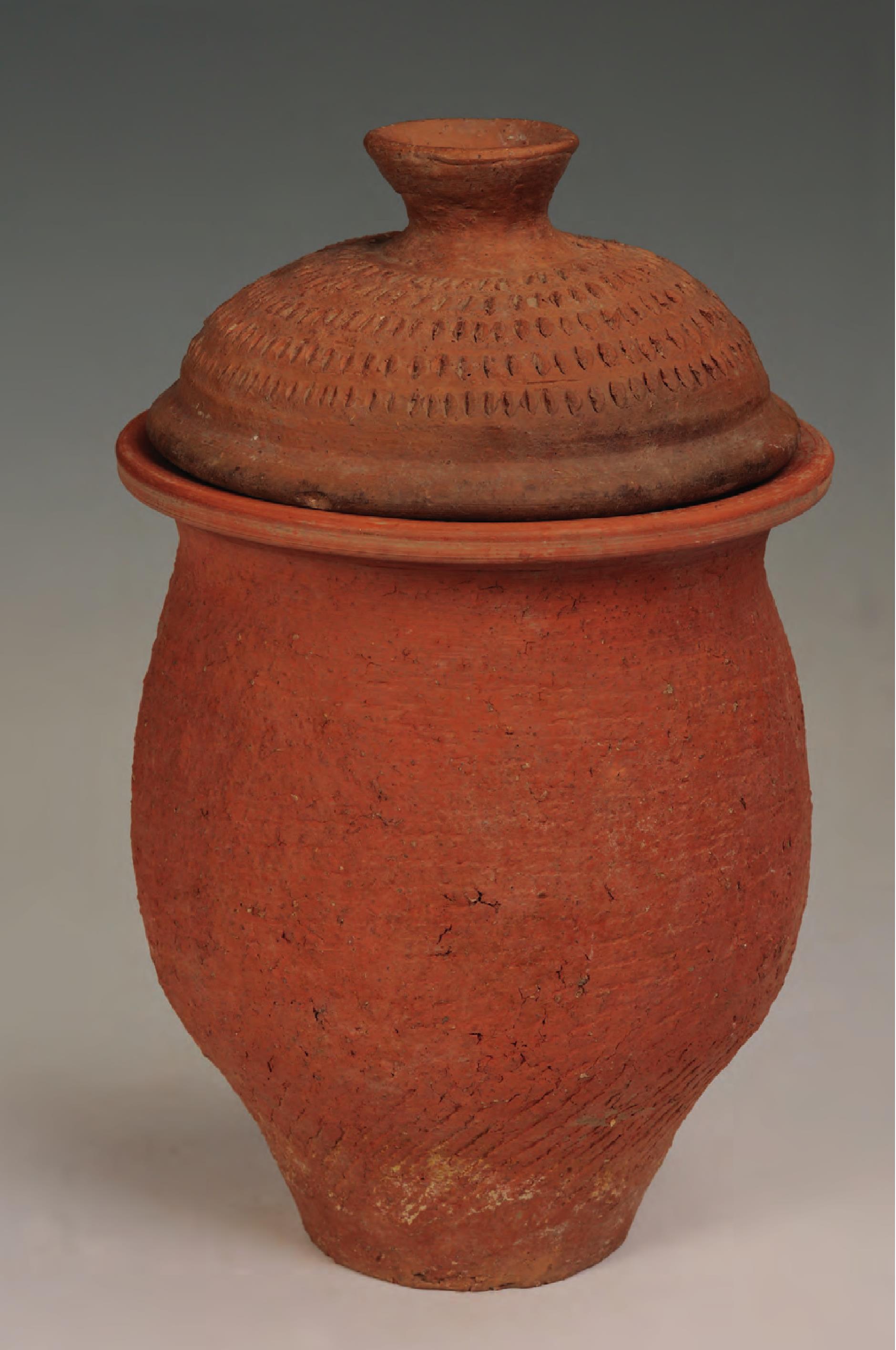仰韶文化早期指甲纹盖、绳纹陶罐