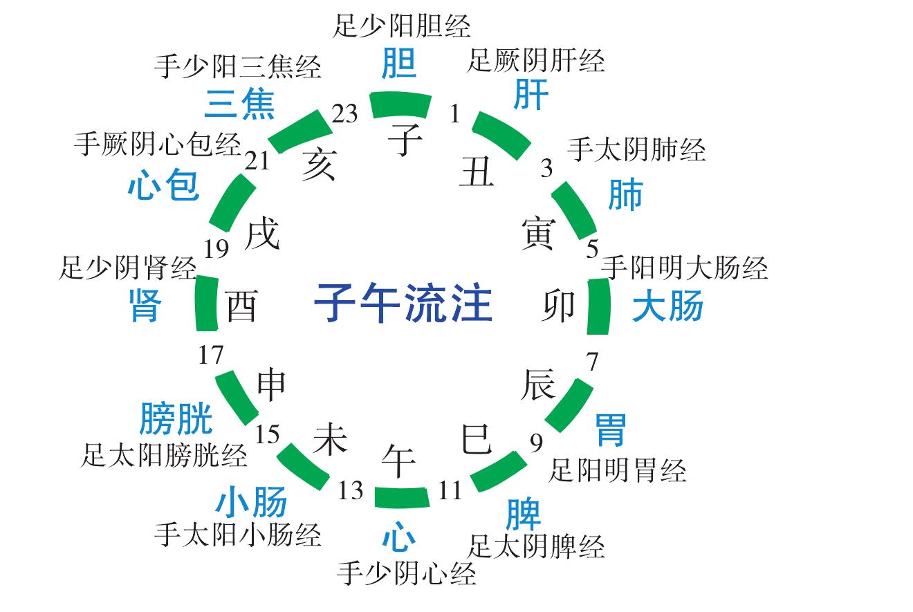 1.中醫(yī)簡要介紹