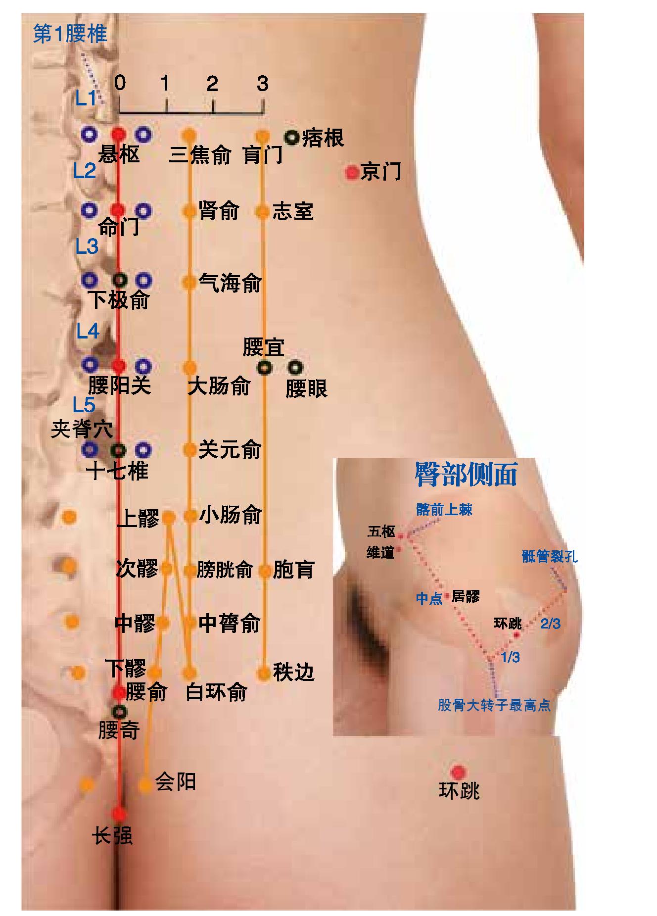 图10 腰骶部穴位