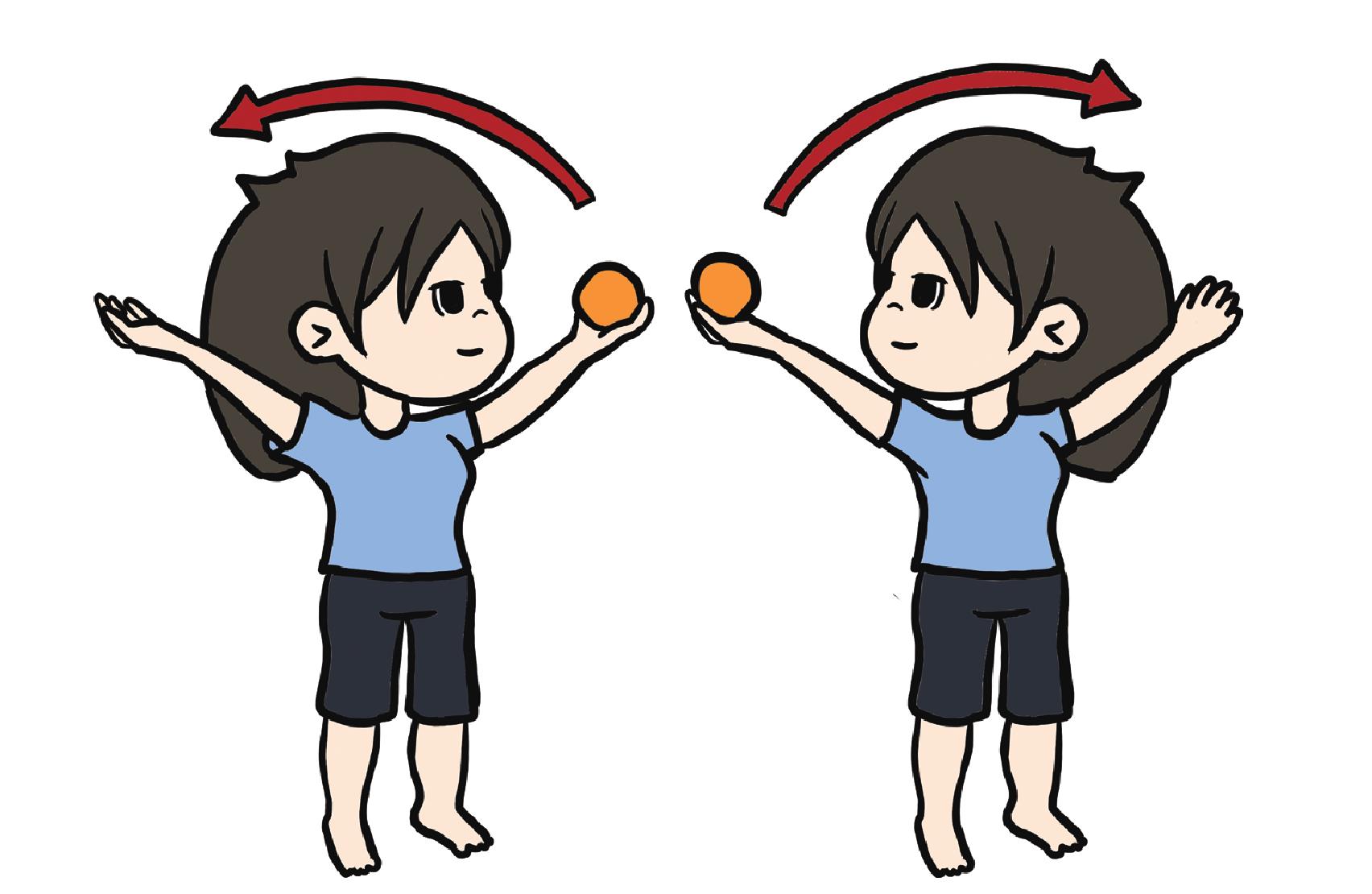 (二)平衡訓(xùn)練