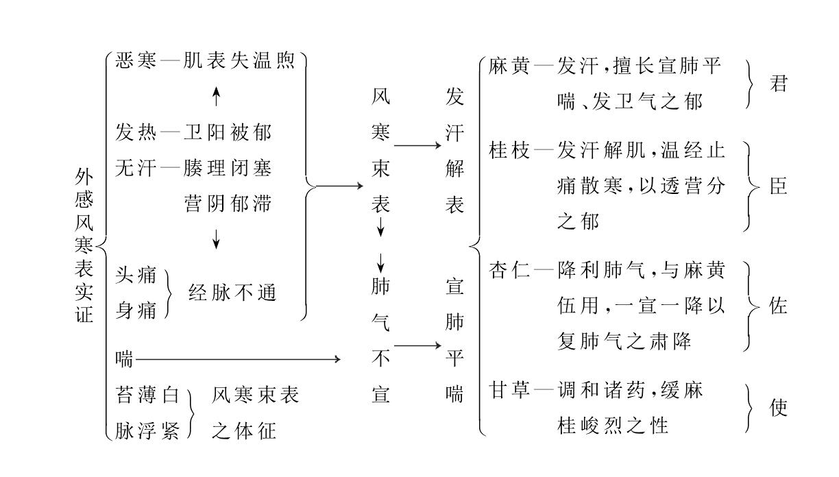 麻黄汤