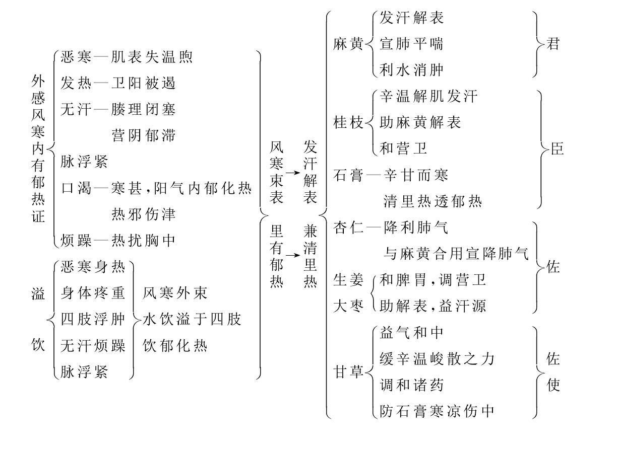大青龍湯