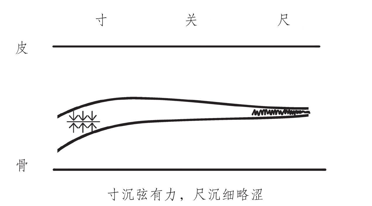 苓桂術(shù)甘湯脈
