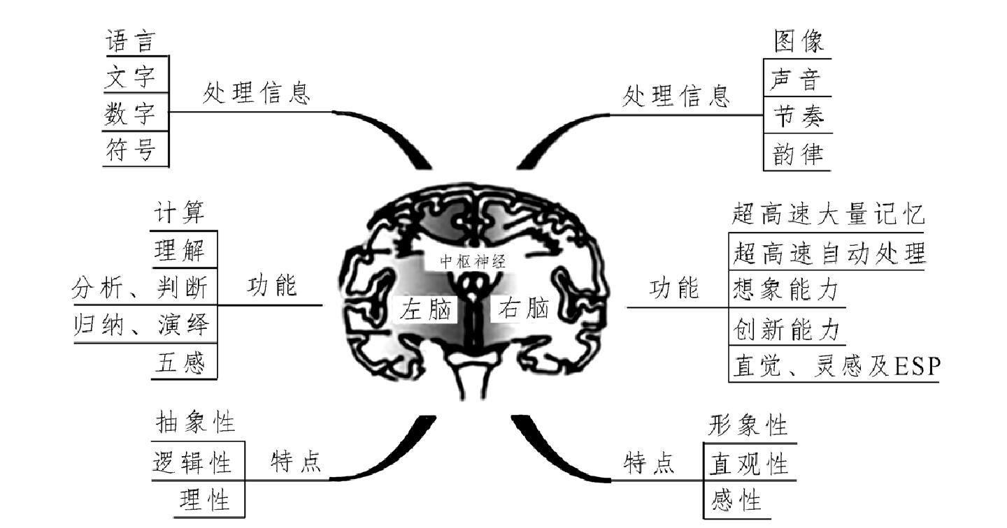 四、走进右脑闪光的时代:开发“创新脑”