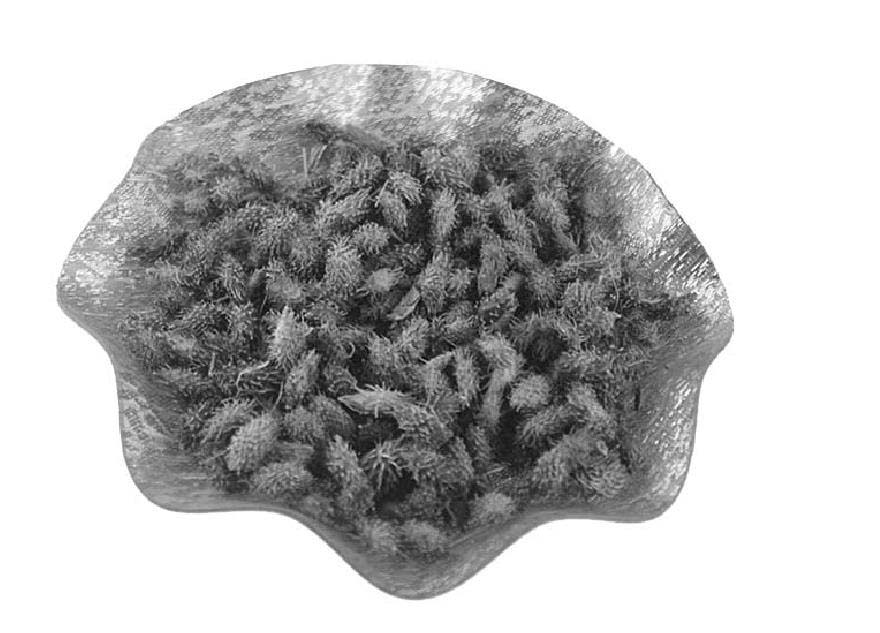 1.鼻咽癌
