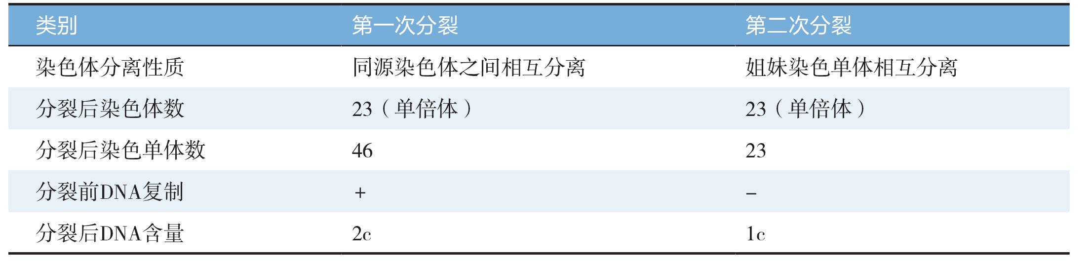 減數(shù)分裂Ⅱ
