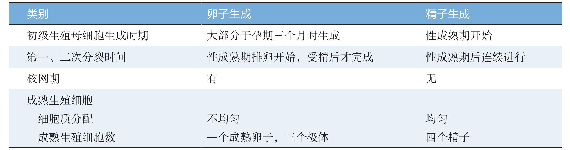 精子、卵子發(fā)生的特點(diǎn)和區(qū)別