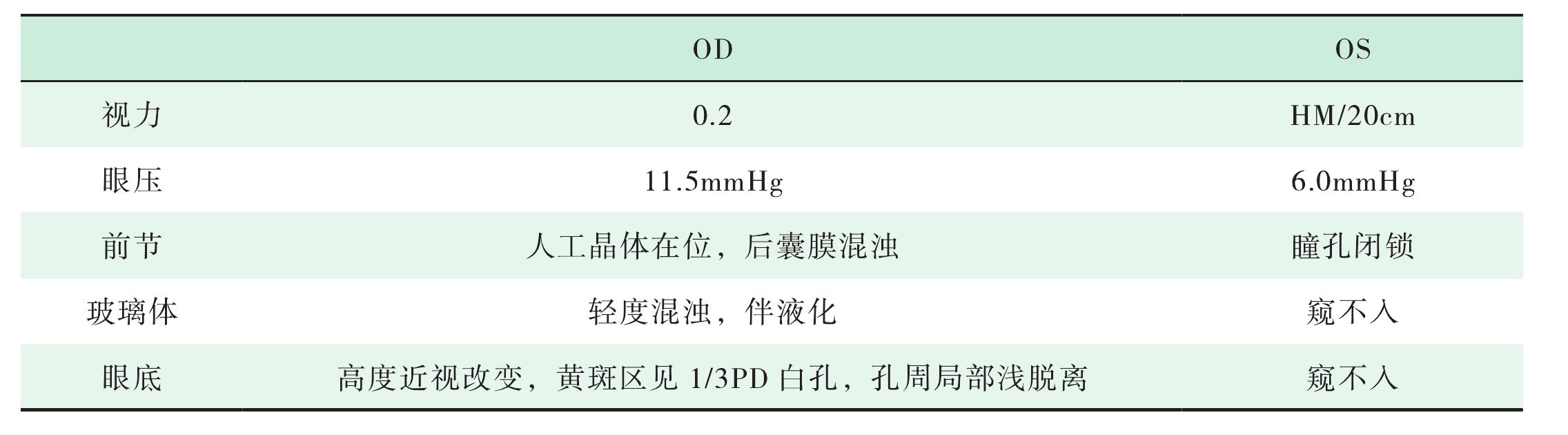 第四節(jié) 典型病例及手術(shù)視頻