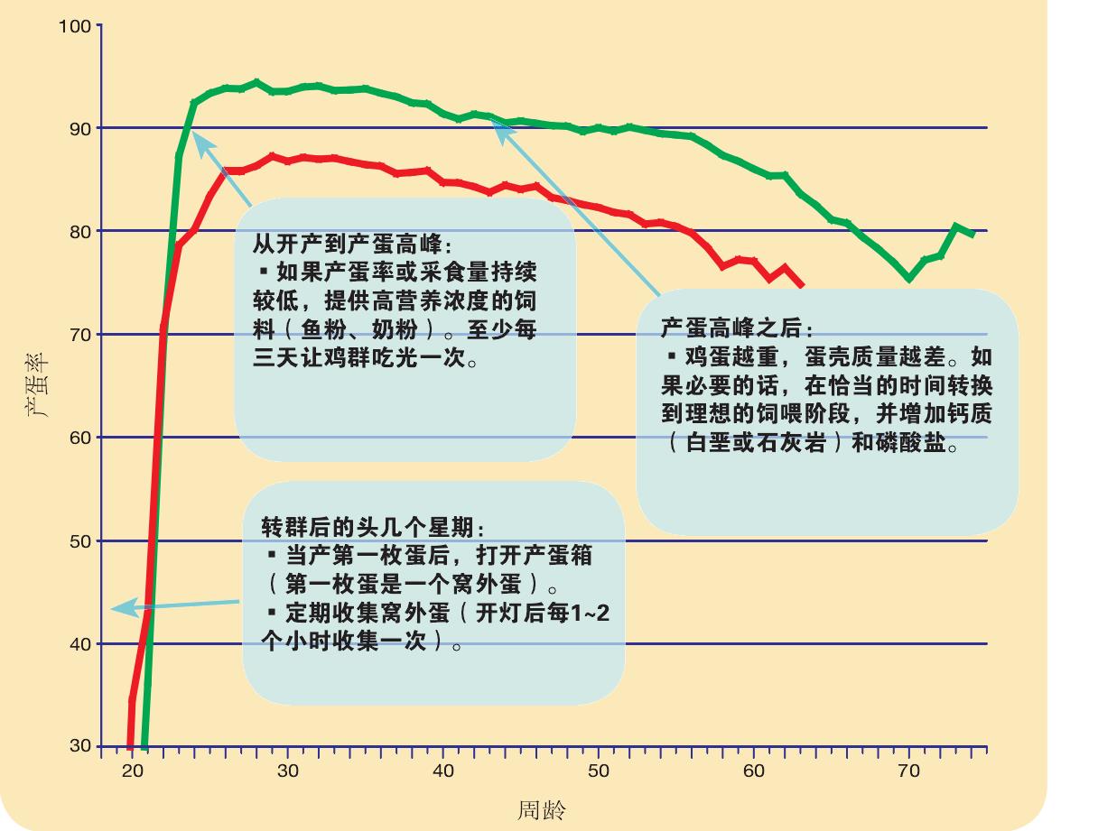 理想的產(chǎn)蛋曲線