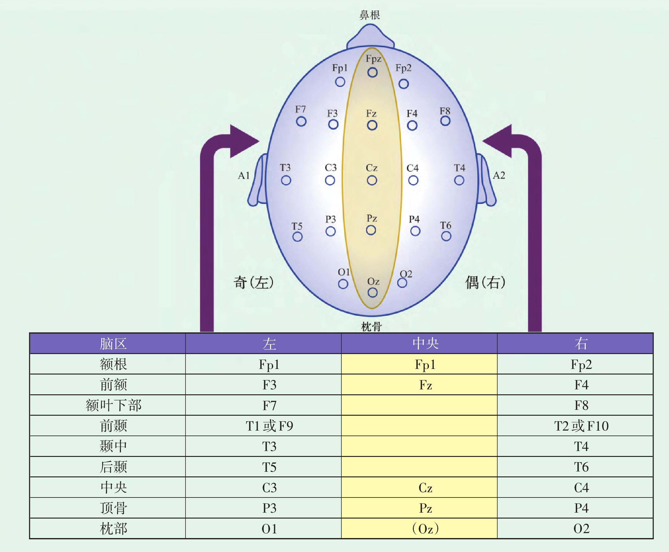 一、睡眠分期判讀的介紹