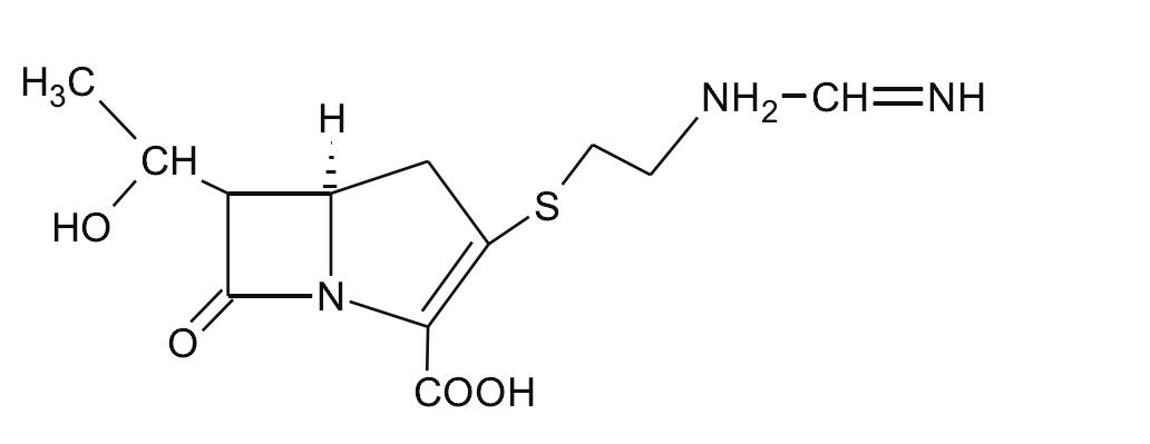 (二)碳青霉烯类