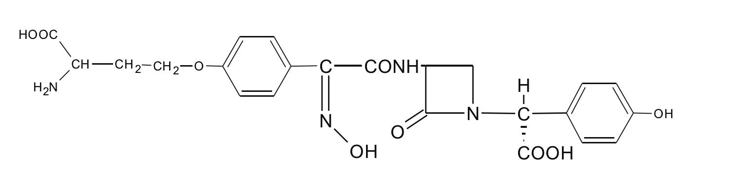 (三)单环β-内酰胺类