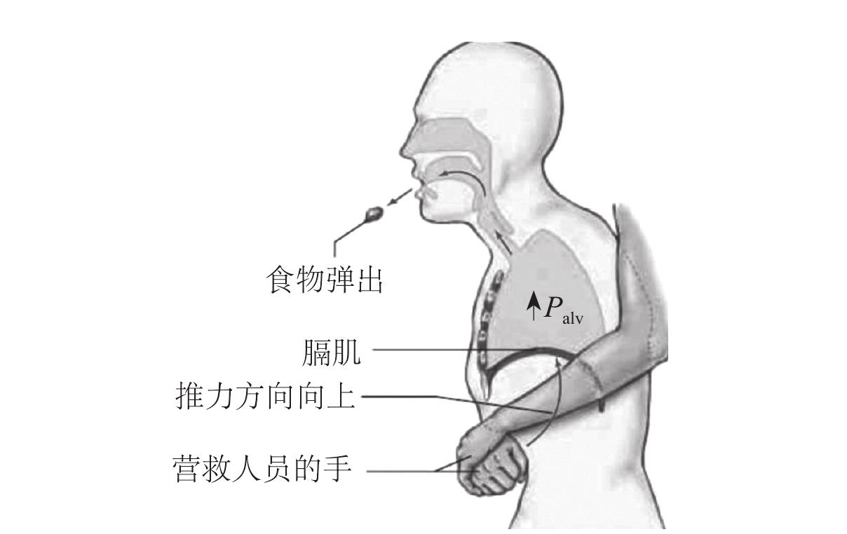 (二)飲食推薦及注意事項(xiàng)