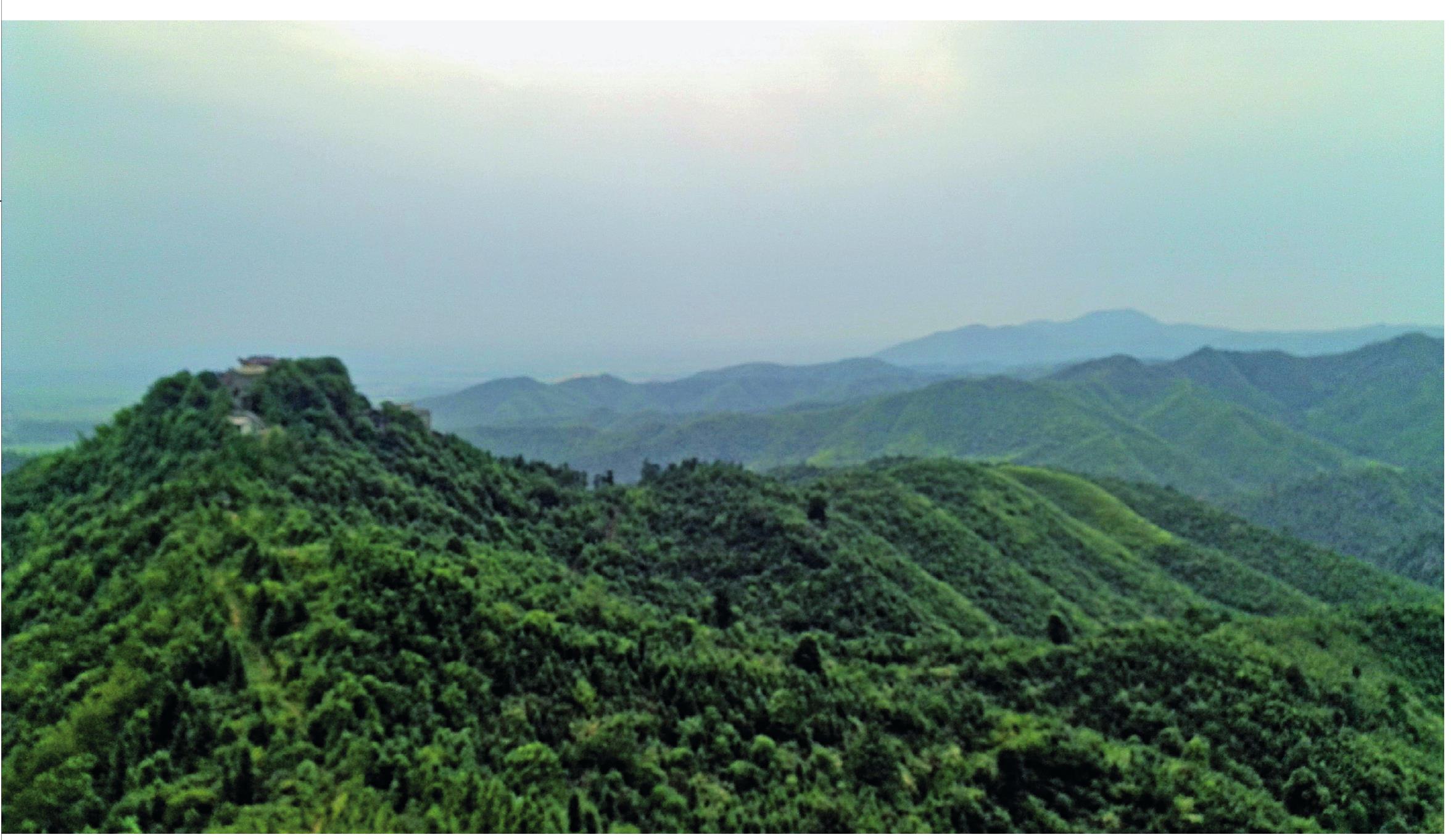 仙桂峰·仙桂峰寺