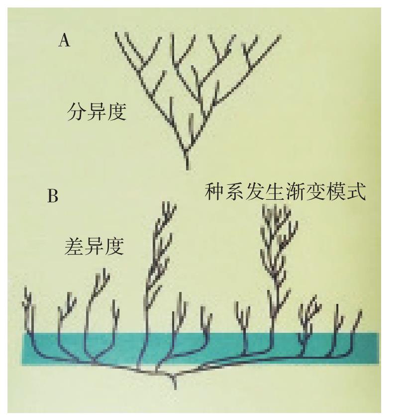 1.3.4 古尔德的生物进化模式